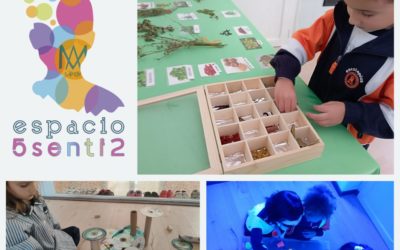 Un espacio que despierta el mundo de los sentidos